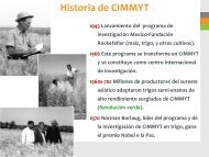 Historia de CIMMYT - Cofupro