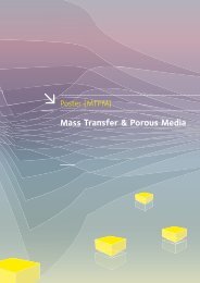Mass Transfer & Porous Media (MTPM) - Andra
