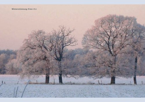 Festschrift [pdf] - Calenberge