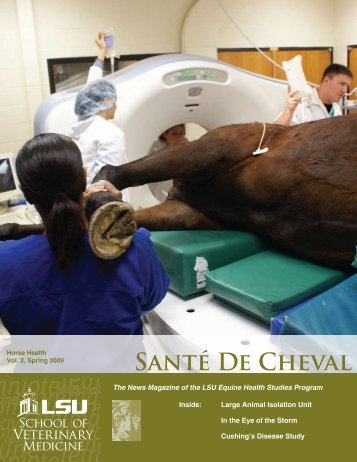 SantÃƒÂ© De Cheval - School of Veterinary Medicine - Louisiana State ...