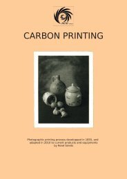 Carbon Printing - RenÃ© Smets (pdf) - Picto Benelux