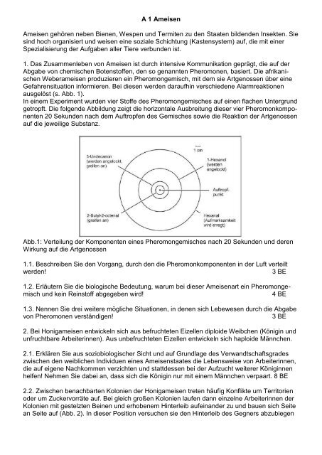 A 1 Ameisen