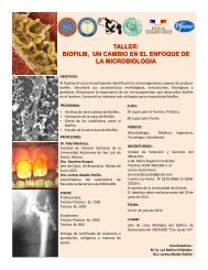 TALLER: BIOFILM, UN CAMBIO EN EL ENFOQUE DE LA ... - Iibcaudo