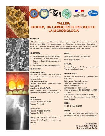 TALLER: BIOFILM, UN CAMBIO EN EL ENFOQUE DE LA ... - Iibcaudo