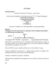 ENZYMER Kendesgerninger: Enzymer er proteiner â Et enzym - et ...