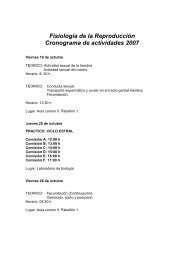 Cronograma FR 2007 AJUSTADO.pdf