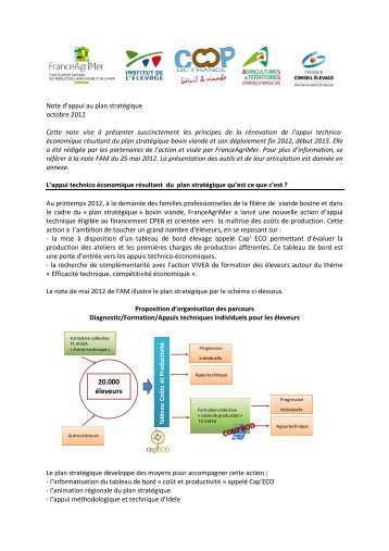 note complémentaire au plan stratégique bovin viande relative