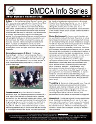 BMDCA Info Series - Bernese Mountain Dog Club of America