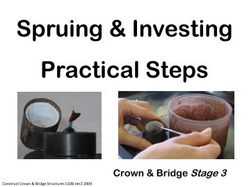 Spruing & Investing Practical Steps - Randwick College Wiki