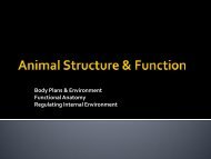 Animal Structure & Function