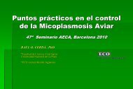 Control y DiagnÃ³stico de Micoplasmas en el Complejo ... - WPSA