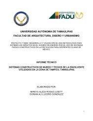 Informe de Uso de Sistemas Constructivos en Tampico - C.I.E.