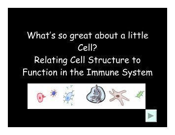 What's so great about a little Cell? - Life Sciences Outreach Program