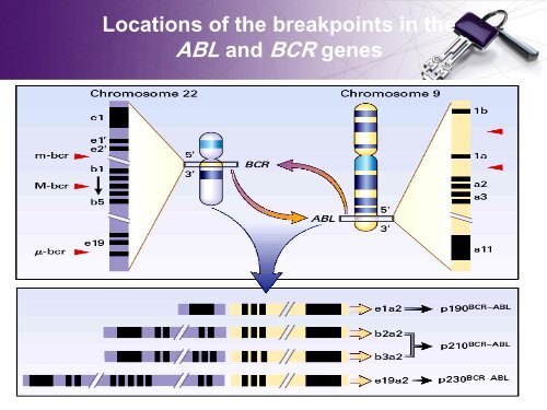 Full Text pdf - NCI