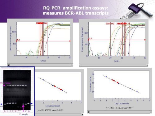 Full Text pdf - NCI