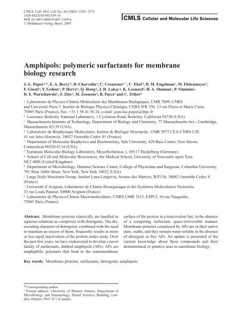 Amphipols: polymeric surfactants for membrane ... - Yale University