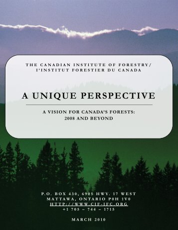 a unique perspective a vision for canada's forests - Canadian ...