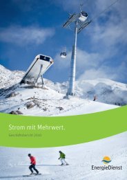 Nachhaltigkeitsbericht 2010 - EnergieDienst AG