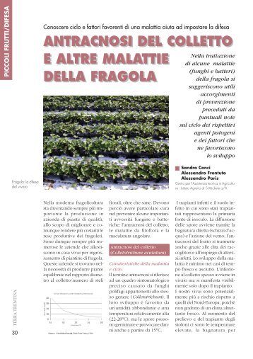 Antracnosi del colletto e altre malattie della fragola - Riviste