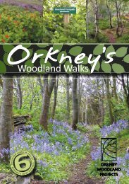 Woodland Walks - Outdoor Orkney