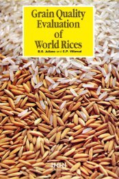 Grain Quality Evaluation Of World Rices - IRRI books - International ...