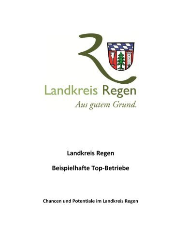 Pfleiderer Teisnach GmbH & Co. KG - Landkreis Regen