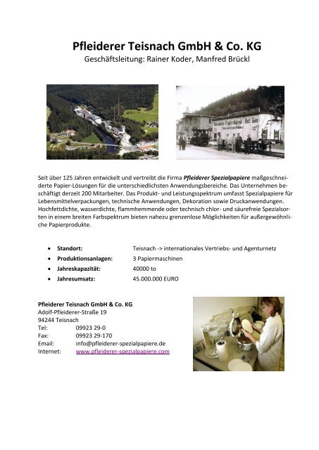 Pfleiderer Teisnach GmbH & Co. KG - Landkreis Regen