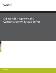 Sybase ASE – Lightweight Compression for Backup Server - White ...