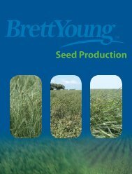 Seed Production - BrettYoung