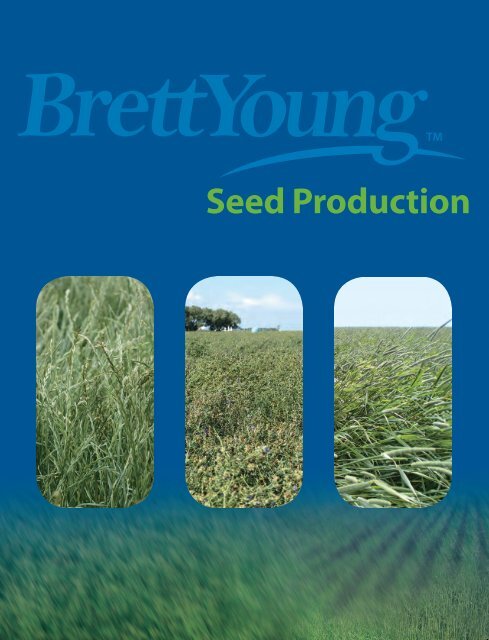 Seed Production - BrettYoung