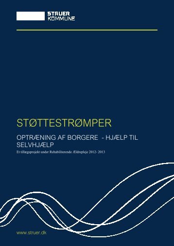 Punkt_90_Bilag_1_Afrapportering_stoettestroempe_projekt - Struer ...