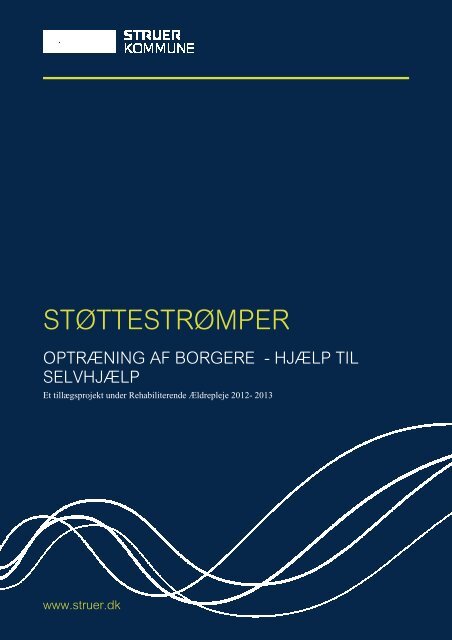 Punkt_90_Bilag_1_Afrapportering_stoettestroempe_projekt - Struer ...