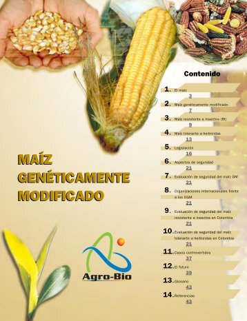 maÃ­z genÃ©ticamente modificado maÃ­z genÃ©ticamente ... - ArgenBio