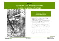 Schneide - und Arbeitstechniken in der Jungbestandspflege (PDF)