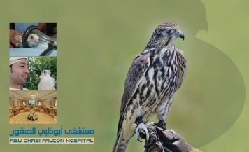 Abu Dhabi Falcon Hospital