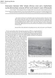 Interaction between killer whales (Orcinus orca ... - Mar de CetÃ¡ceos