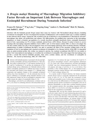 A Brugia malayi Homolog of Macrophage Migration Inhibitory Factor ...