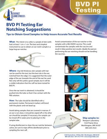 BVD PI Testing