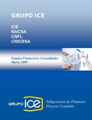 I Trimestre 2009 - Grupo ICE