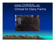 Cleaning Cow Hooves with Probiotic Environmental Control - Chrisal