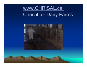 Cleaning Cow Hooves with Probiotic Environmental Control - Chrisal