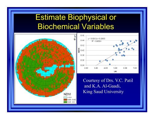 Key Advances and Remaining Knowledge Gaps in Remote Sensing ...