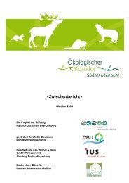 Zwischenbericht - Das Projekt Ökologischer Korridor Südbrandenburg