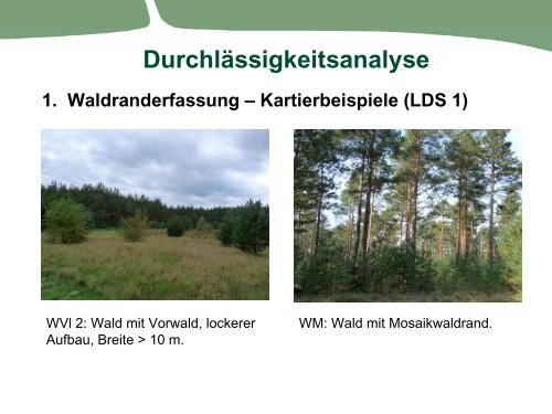 LDS 1 - Das Projekt Ökologischer Korridor Südbrandenburg
