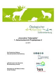 1. Zwischenbericht Projektphase 2 - Das Projekt Ökologischer ...