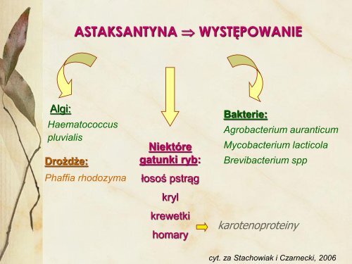 prezentacja - Wszechnica Żywieniowa w SGGW