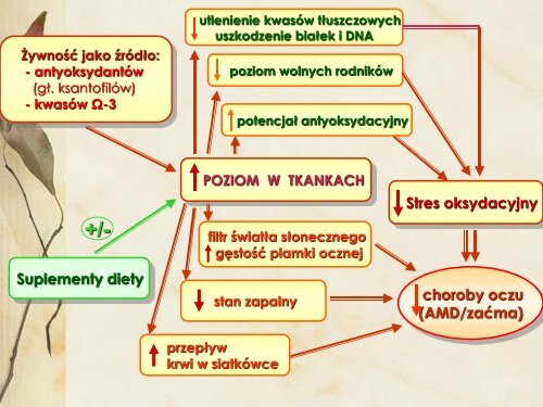 prezentacja - Wszechnica Żywieniowa w SGGW