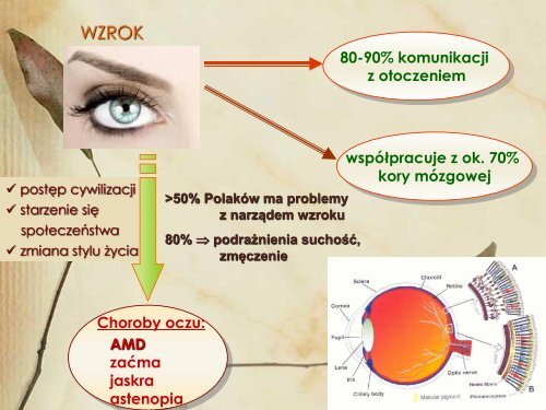 prezentacja - Wszechnica Żywieniowa w SGGW