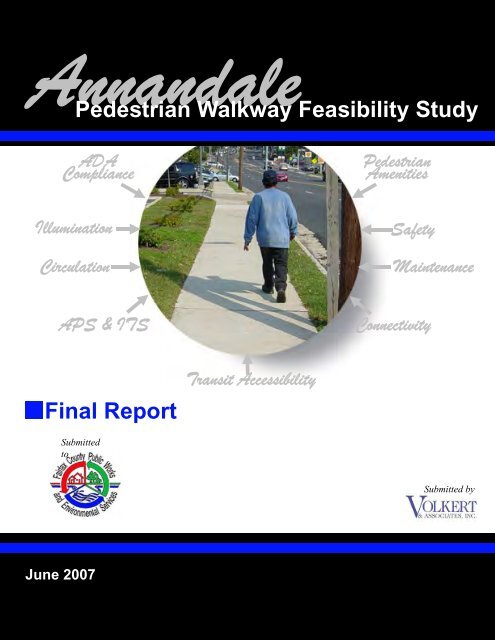 Annandale Pedestrian Walkway Feasibility Study