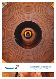 2009 Annual Report - Severstal